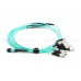 MPO-OM3-FC-12F-XX MPO-OM3轉FC-12F光纖跳線 12芯 MPO多模萬兆OM3 IDC定制MTP雙工40/100G數據鎧裝成品模塊連接跳線